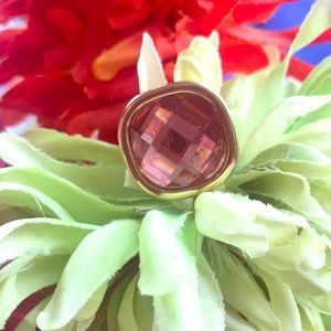 Spice Moderne Collection